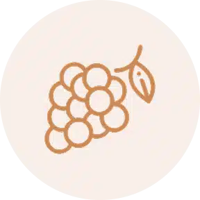 comment investir en GFV